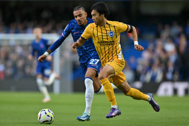 又美又能打 又美又能打